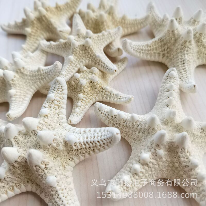 Overlord White Bread Natural Starfish Handmade DIY Material Conch Shell Platform Decoration Decoration Landscaping Manufacturer Overlord White Bread Natural Starfish Handmade DIY Material Conch Shell Platform Decoration Decoration Landscaping Manufacturer