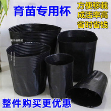 �I�B�����籭һ���Դ������������������I�B����ɫ�Nֲ�I�B��