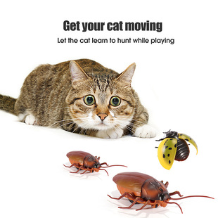 Intelligent induction obstacle avoidance cockroach ladybug simulation induction obstacle avoidance insect pet animal model cat animal toy