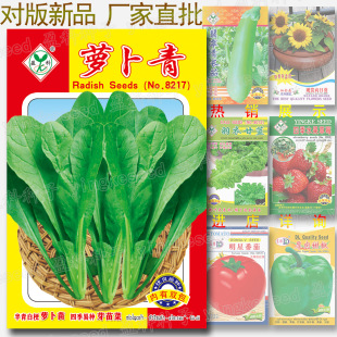 蘿卜青種子 蘿卜苗種籽 四季陽台易種芽苗菜 芽菜苗 蔬菜種子批發