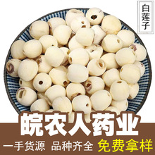 去心白莲子500g湘潭莲子大号无心磨皮白莲子中药材大全代发批发