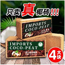 Ҭ�u��Ó�}ͨ���͠I�B�����ԷNֲ�N�˷N��Ҭ���B��ֲ�：����Ҭ��