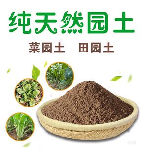 ��@�������I�B���Nֲ����Ȼ�ˈ@��ɳ���N�˷N���������������S��