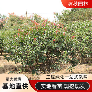 �t�~ʯ������l�@�քe�����̾G����ľ�h�ʠ��ͺ��ߗUʯ������