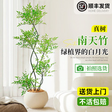 Կ͏dGֲk҃ɳl߅լ滨ֲ̖