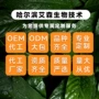 食用超临界萃取二氧化碳