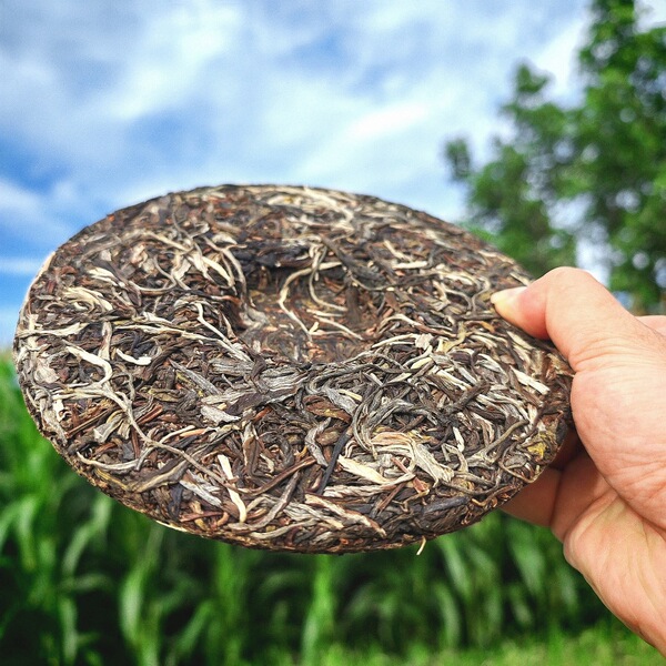 Brown Mountain Pu'er tea raw tea cake 357g one piece free shipping…