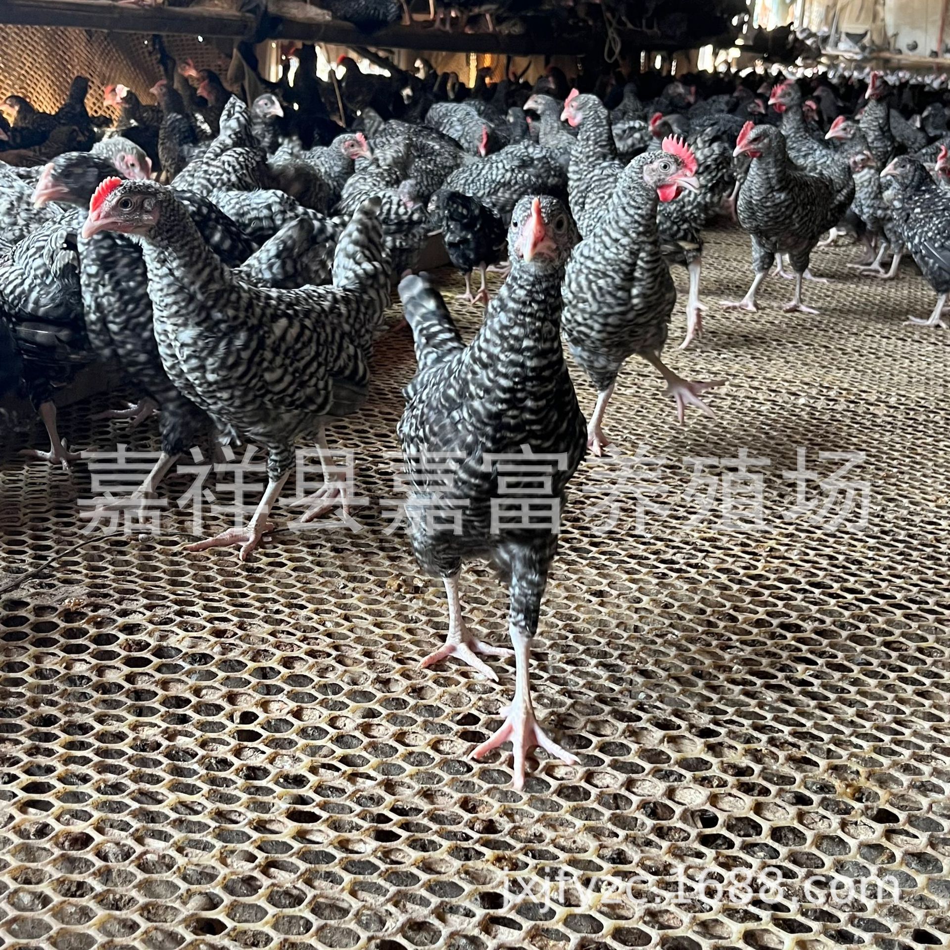 微信图片_2022090312092915.jpg