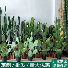 仿真仙人掌植物室内客厅仙人柱盆栽装饰造景仿真绿植沙漠假树摆件