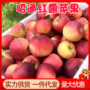 ������ͨ�t¶�O��5�����䮔�����rˮ��10���l���]3��ϬFժС�O��
