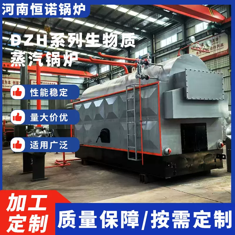加工定制工业全自动链条炉卧式生物质蒸汽锅炉燃煤燃柴手烧锅炉