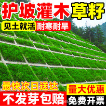 o¹ľ뻱NӴ̻Gбɽ߅¸ٹ·ֲ