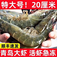 ���u���r�r�������r������r�ك��ش��r���r���r���rˮ�a