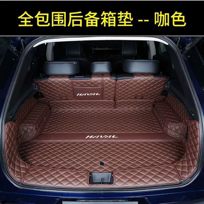Surrounded Special 21-24 First and | Trunk Mat - fully-enclosed-coffee-color-21-24-models-first-generation-big-dog