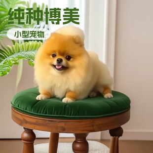 ���Ʋ���С��Ȯ���N����������wС�����pȮ��HȮ�������l�豭Ȯ