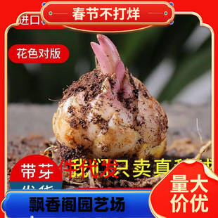 һ�����l�M����ˮ�ٺϷN��ѿ�ļ��_���҃����̨���^�ͺ��ô�