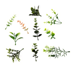 ���Ϸ���ֲ��ˮ��������������ȼ��������羳���R�dާ�~޹�²��~