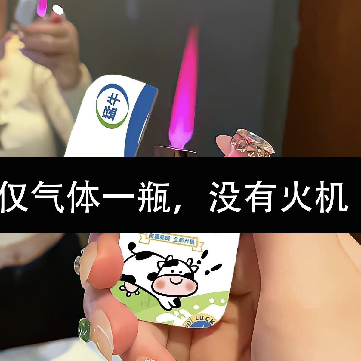 순수한 암소 B 예비