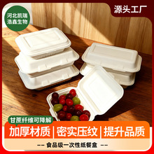 源头厂家甘蔗浆一次性餐盒打包盒外卖店食品野餐外卖饭盒现货