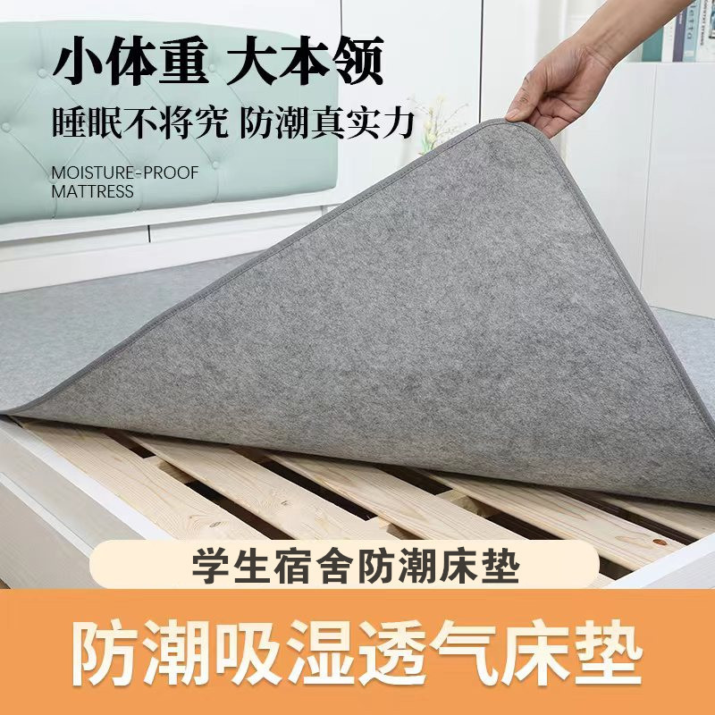 Moisture-Proof Mattress for Bed, Moisture-Absorbent Mattress for Student Dormitory Single Bed, Tatami, Moisture-Proof and Mildew-Proof Mattress, Bottom Mat