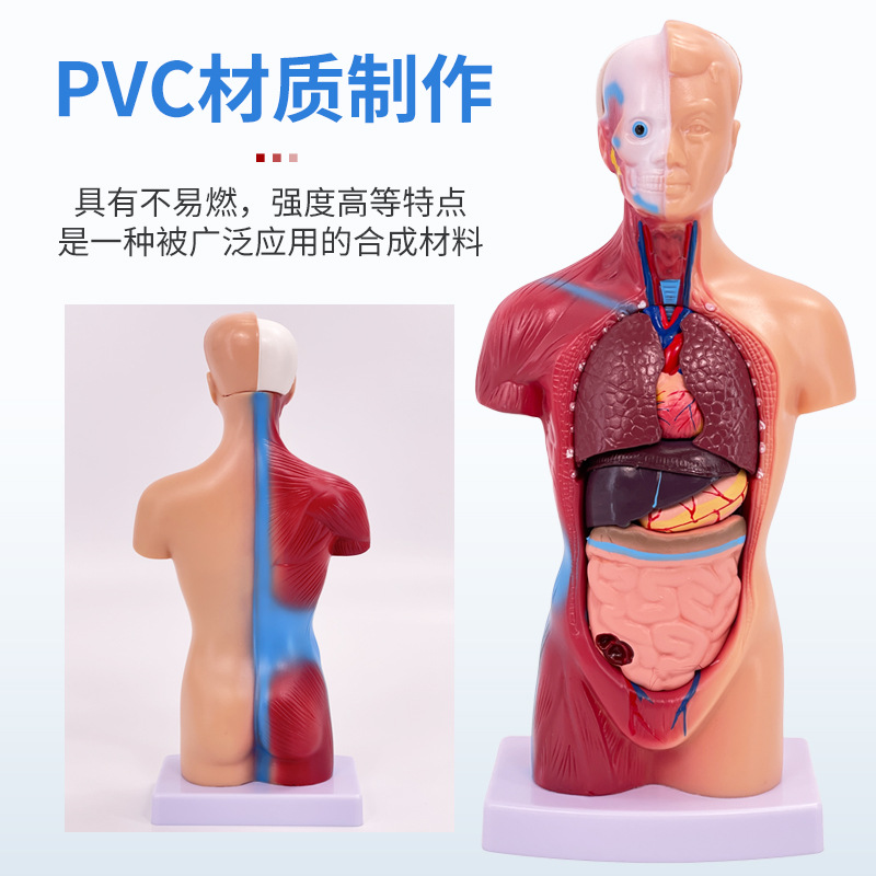 �߶�ҽѧ������������ϵͳ�ṹ���� 28CM�������ģ�� 26CM����