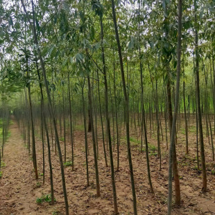 �@����ľ�������l��������С���� �G�������Nֲ��z���z�^������