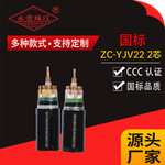 永壹珠江自营 定制国标zc-yjv22铠装2芯电缆线交联控制电力电缆
