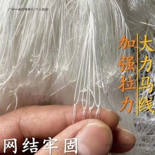 大马力尼龙线渔网粘网丝网挂网加粗尼龙网三层网捕鱼网水库大鱼网