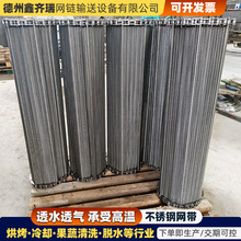 304不锈钢网带饼干烘烤链条式网带果蔬清洗烘干机网带网链传送带