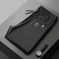 Эластичные брюки из ледяного шелка 2023 Весна-лето Новое поступление Мужские повседневные брюки из ткани Мягкие свободные универсальные тонкие мужские модные брюки