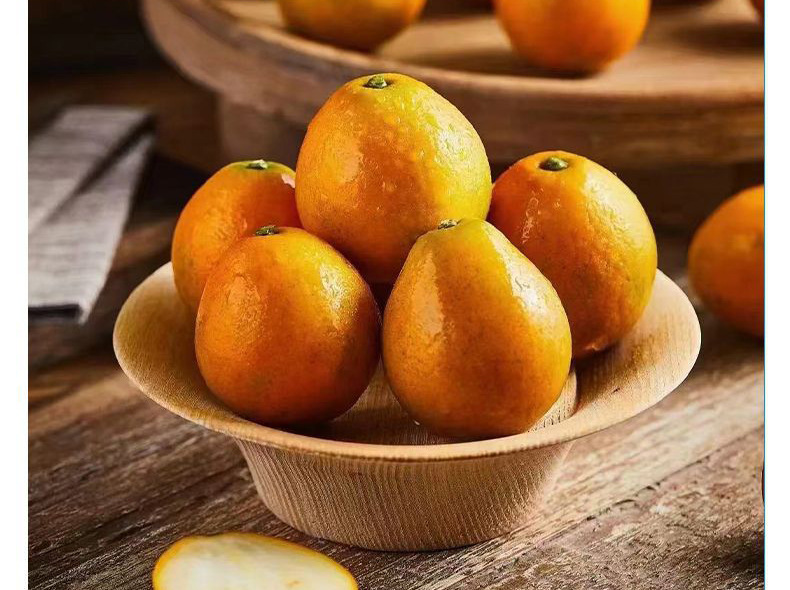 O1CN019Sb86E1DPJBJKRtlG_!!2215