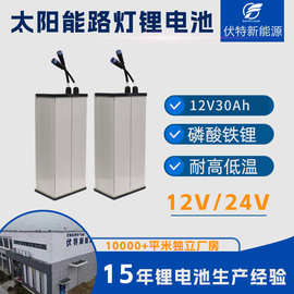 12V24V30Ah太阳能路灯锂电池储控一体磷酸铁锂电池组监控安防电池