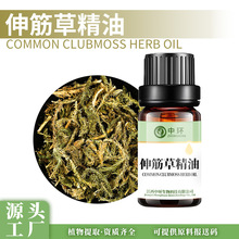 伸筋草精油伸筋草油狮子草油植物单方精油中药油原料提供报送码厂