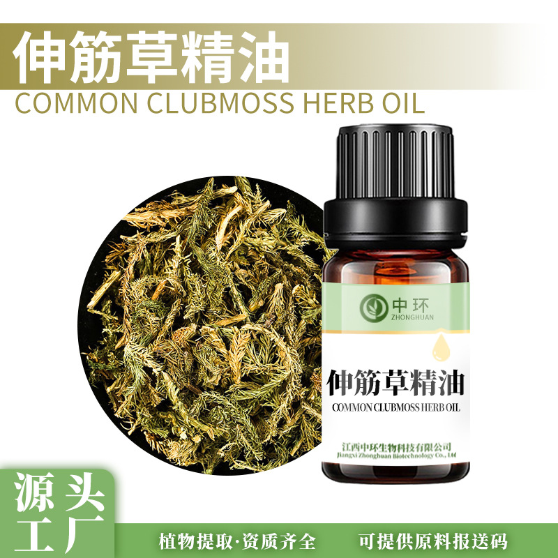 伸筋草精油伸筋草油狮子草油植物单方精油中药油原料提供报送码厂