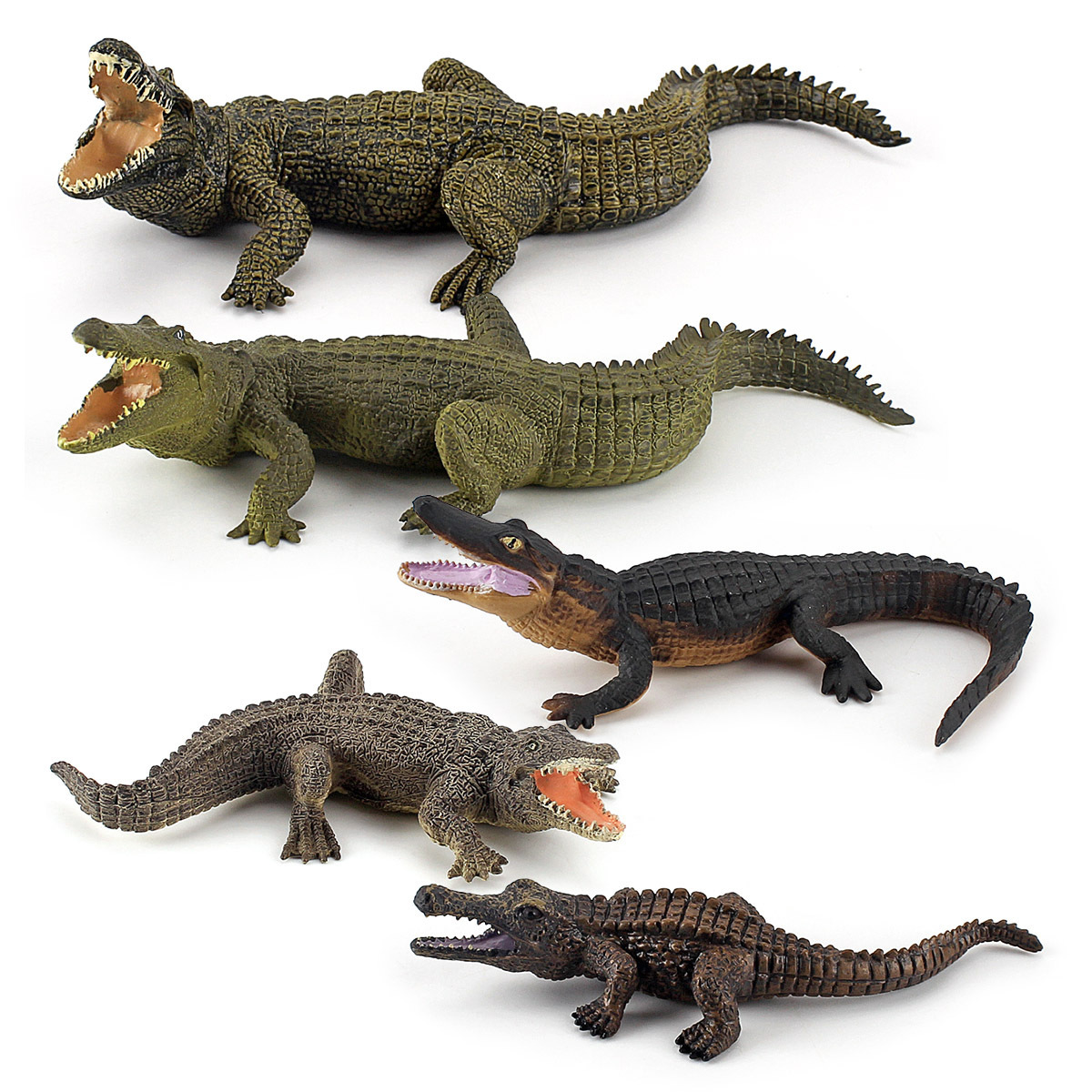 La educación temprana de los niños reptil cocodrilo de sangre fría decoración estática juguete simulación bosque cocodrilo modelo traje transfronterizo