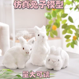 动物工艺品;皮毛工艺品;车用炭类吸附