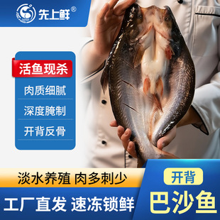 �ع��~���~�����_�����ư�ɳ�~������r�������ö����~�貨�~���l