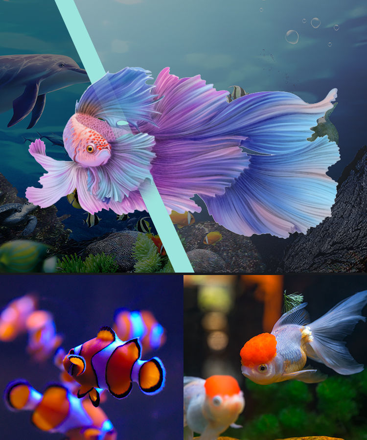 7ed775d7-c3c2-4558-8616-11f7e3730a20.jpe