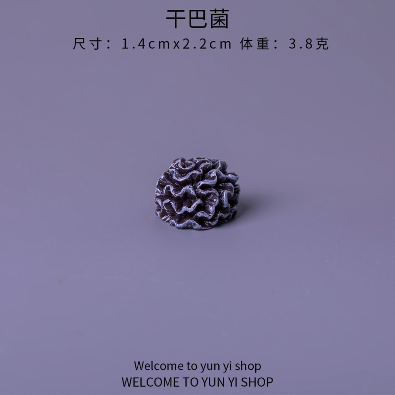 食玩小蘑菇菌香菇 微景观仿真diy装饰品盲袋配件迷你生态瓶小摆件|undefined