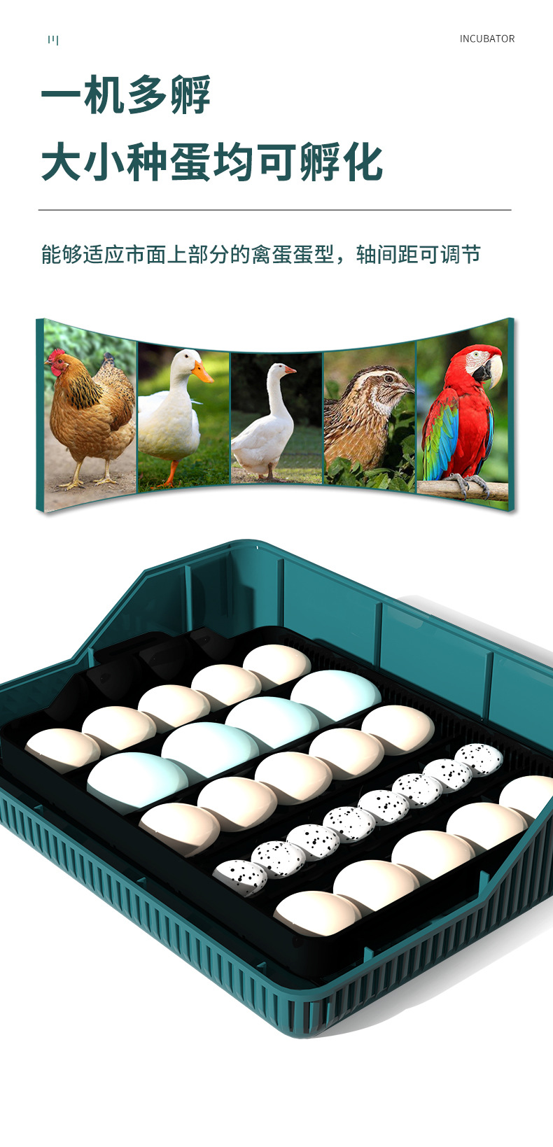 Title 12, Automatic Incubator for Poultry, Climbing, Pet ...