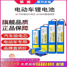 电动滑板车36V锂电池48V电池喜德盛爱玛松吉60伏自行车电瓶10A12A