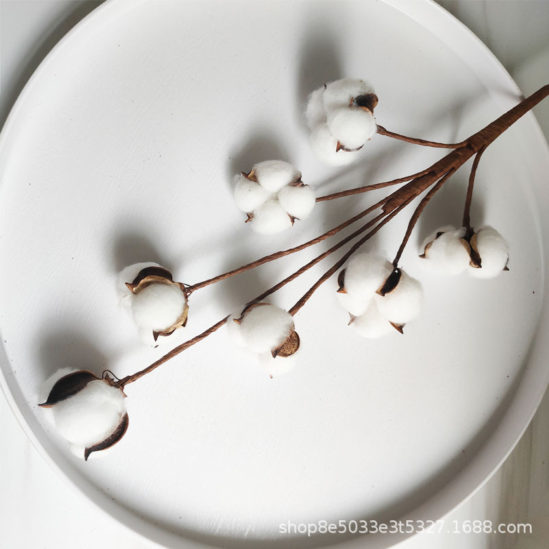 Venta al por mayor flor artificial algodón natural flor seca boda decoración del hogar foto decoración flor 10 solo algodón de madera