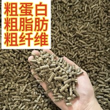 现货供应花生秧草颗粒含玉米粒草粉豆粕等营养丰富花生秧颗粒饲喂
