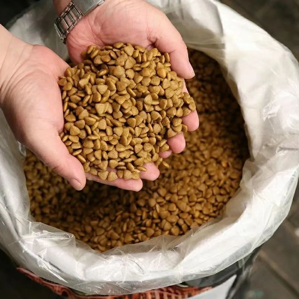 feee47fb-8d6b-4418-a716-c9404a4d1a27.jpe