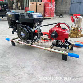 汽油拉管喷雾器 手抬式汽油打药机 小型喷雾器图片