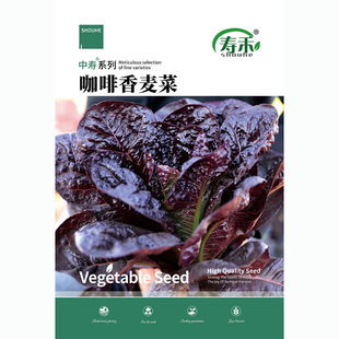 ���Ϳ��������˷N��������˷N���ļ������߲��ѷN�˷N����������