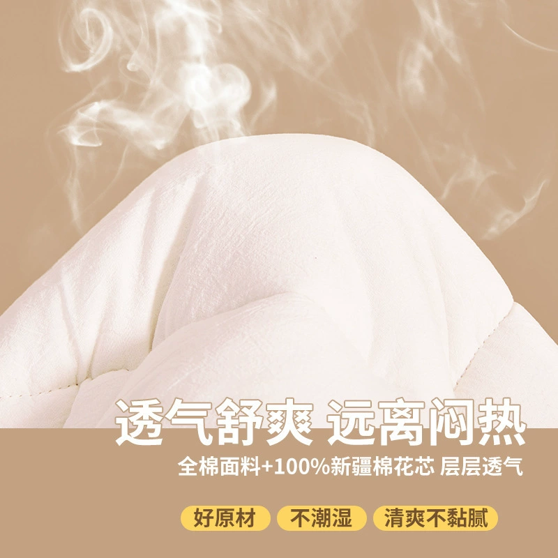Cotton mattress for home use, bedding