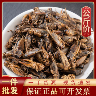 1000g����ș�ĬF؛���l������؛Դ�^�S��һ��؛Դ ��� Λ��