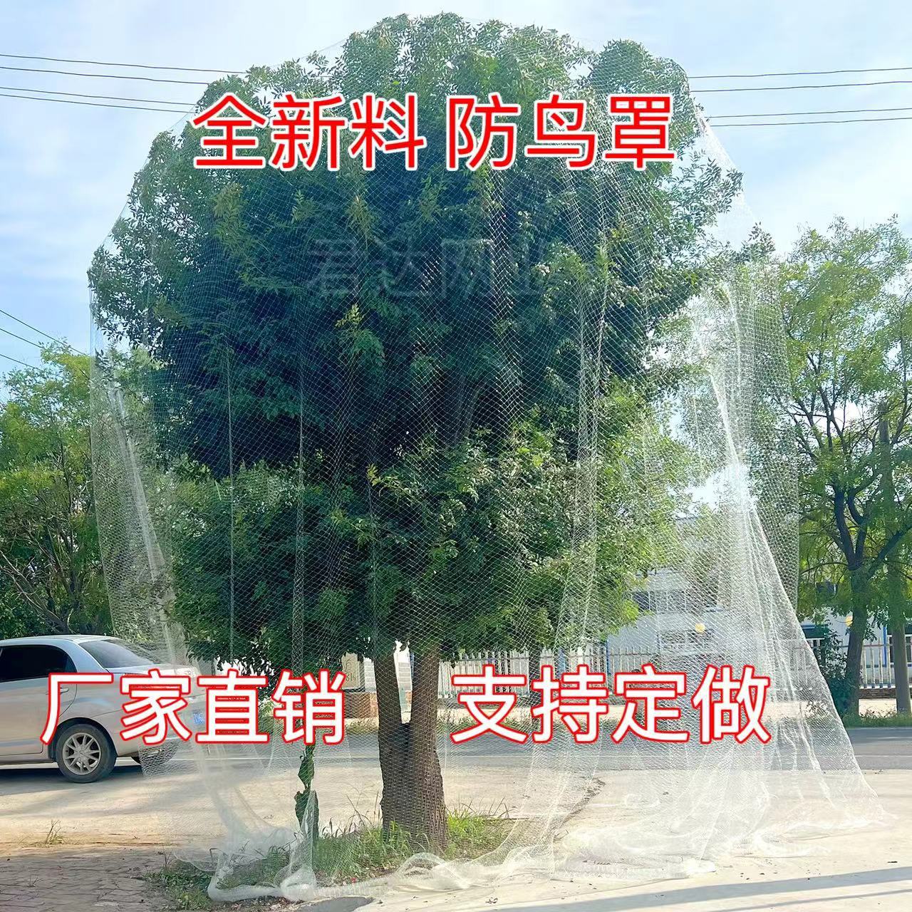 果树防鸟网罩嘉宝果樱桃果园大棚鱼塘天网尼龙防护网菜地阳台家用