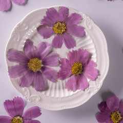 格桑の花の乾いた花のエンボス材料diyの本物の花の植物の標本の押し花のしおりのアイデアの顔の装飾の乾いた花